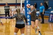 Volleyball: Tuscola  at West Henderson (BR3_7557)