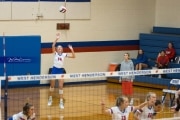 Volleyball: Tuscola  at West Henderson (BR3_7608)