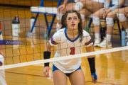 Volleyball: Tuscola  at West Henderson (BR3_7631)