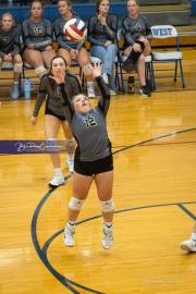Volleyball: Tuscola  at West Henderson (BR3_7642)