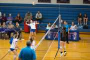 Volleyball: Tuscola  at West Henderson (BR3_7667)