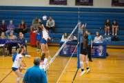Volleyball: Tuscola  at West Henderson (BR3_7670)
