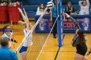 Volleyball: Tuscola  at West Henderson (BR3_7699)