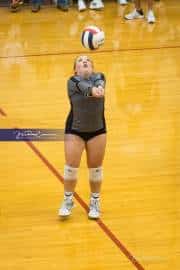 Volleyball: Tuscola  at West Henderson (BR3_7826)