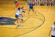 Volleyball: Tuscola  at West Henderson (BR3_7900)