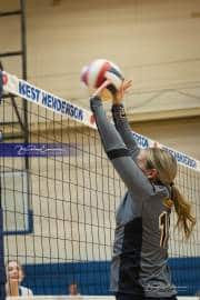 Volleyball: Tuscola  at West Henderson (BR3_8024)