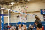 Volleyball: Tuscola  at West Henderson (BR3_8132)