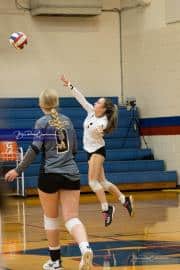 Volleyball: Tuscola  at West Henderson (BR3_8150)