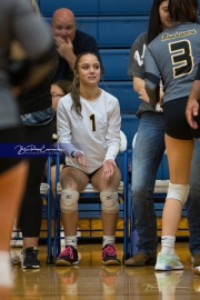 Volleyball: Tuscola  at West Henderson (BR3_8302)