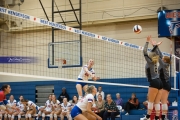 Volleyball: Tuscola  at West Henderson (BR3_8320)
