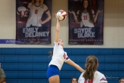 Volleyball: Tuscola  at West Henderson (BR3_8400)