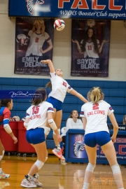 Volleyball: Tuscola  at West Henderson (BR3_8428)