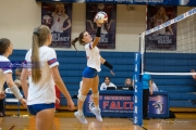 Volleyball: Tuscola  at West Henderson (BR3_8600)