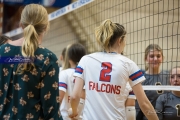 Volleyball: Tuscola  at West Henderson (BR3_8624)