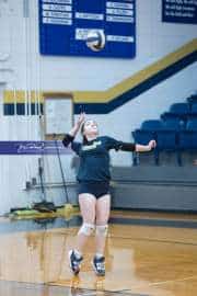 Volleyball: Hickory Ridge at TC Roberson (BR3_1220)