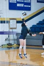 Volleyball: Hickory Ridge at TC Roberson (BR3_1224)