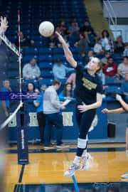 Volleyball: Hickory Ridge at TC Roberson (BR3_1239)