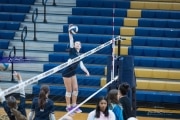 Volleyball: Hickory Ridge at TC Roberson (BR3_1314)