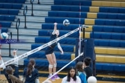 Volleyball: Hickory Ridge at TC Roberson (BR3_1315)