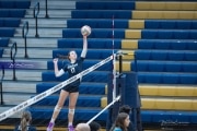 Volleyball: Hickory Ridge at TC Roberson (BR3_1330)