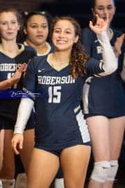Volleyball: Hickory Ridge at TC Roberson (BR3_1459)