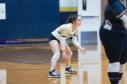 Volleyball: Hickory Ridge at TC Roberson (BR3_1699)
