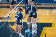 Volleyball: Hickory Ridge at TC Roberson (BR3_1987)