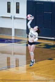 Volleyball: Hickory Ridge at TC Roberson (BR3_2115)