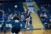 Volleyball: Hickory Ridge at TC Roberson (BR3_3008)