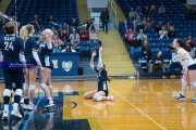 Volleyball: Hickory Ridge at TC Roberson (BR3_3029)