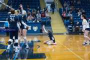 Volleyball: Hickory Ridge at TC Roberson (BR3_3036)
