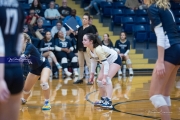 Volleyball: Hickory Ridge at TC Roberson (BR3_3189)