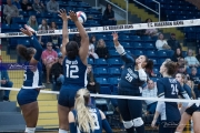 Volleyball: Hickory Ridge at TC Roberson (BR3_3336)