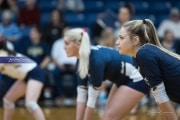 Volleyball: Lake Norman at TC Roberson (BR3_4332)