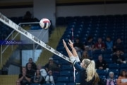 Volleyball: Lake Norman at TC Roberson (BR3_4965)