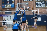 Volleyball: Lake Norman at TC Roberson (BR3_5734)