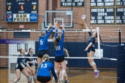 Volleyball: Lake Norman at TC Roberson (BR3_5748)