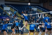 Volleyball: Lake Norman at TC Roberson (BR3_5774)