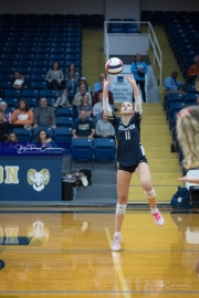 Volleyball: Lake Norman at TC Roberson (BR3_5791)
