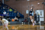 Volleyball: Lake Norman at TC Roberson (BR3_5822)