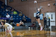 Volleyball: Lake Norman at TC Roberson (BR3_5824)