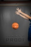 Senior Banners: Brevard Basketball (BRE_5326)