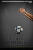 Senior Banners BHS Girls Soccer (BRE_5824)