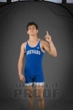 Senior Banners: WHS Wrestling (BRE_1819)