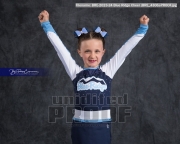 2023-24 Blue Ridge Cheer (BRE_4306)