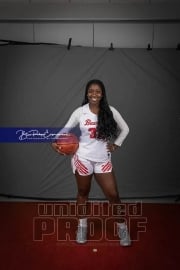 Senior Banners Hendersonville High Winter (BRE_9901)