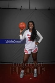 Senior Banners Hendersonville High Winter (BRE_9921)