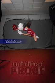 Senior Banners Hendersonville High Winter (BRE_9980)