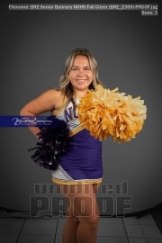 Senior Banners NHHS Fall Cheer (BRE_2359)