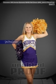 Senior Banners NHHS Fall Cheer (BRE_2663)